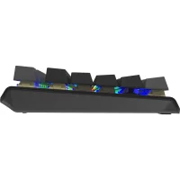 Клавиатура A4Tech Fstyler FS100 Neon (серый/черный) фото 3